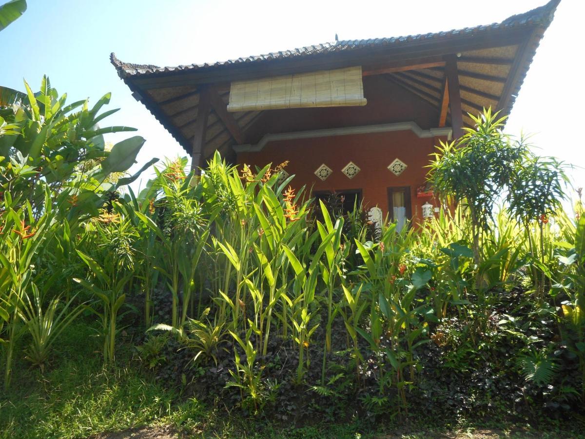 Cegeng Lestari Guesthouse Sidemen (Bali) Exterior foto