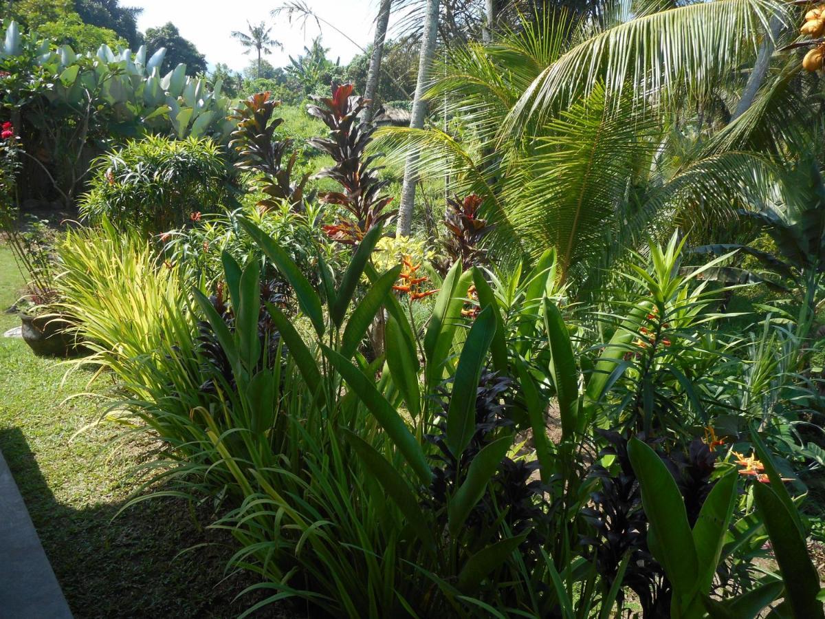 Cegeng Lestari Guesthouse Sidemen (Bali) Exterior foto