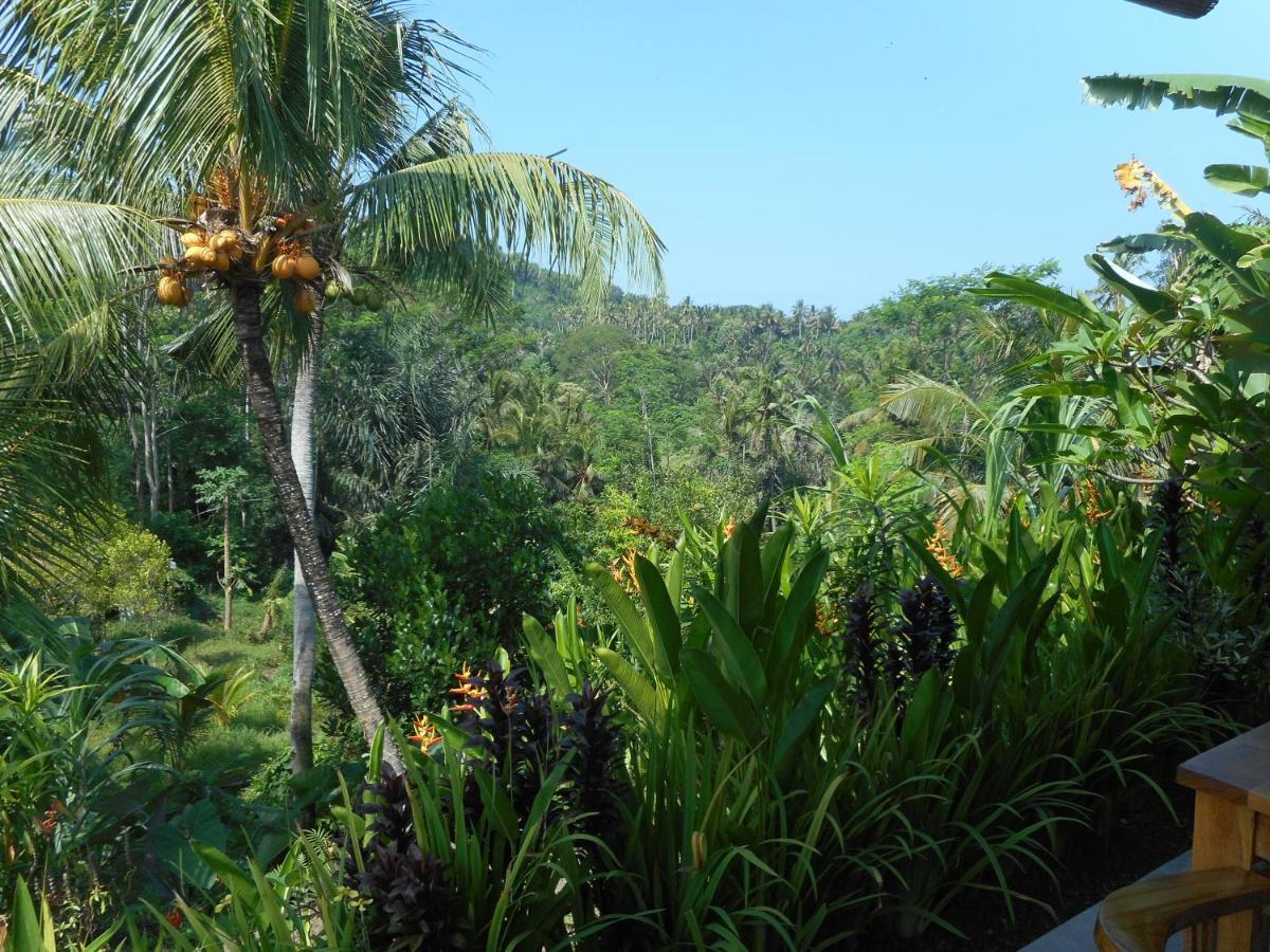 Cegeng Lestari Guesthouse Sidemen (Bali) Exterior foto